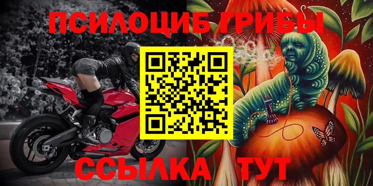 Тавда  Псилоцибиновые грибы MAGIC MUSHROOMS  Вход с VPN 