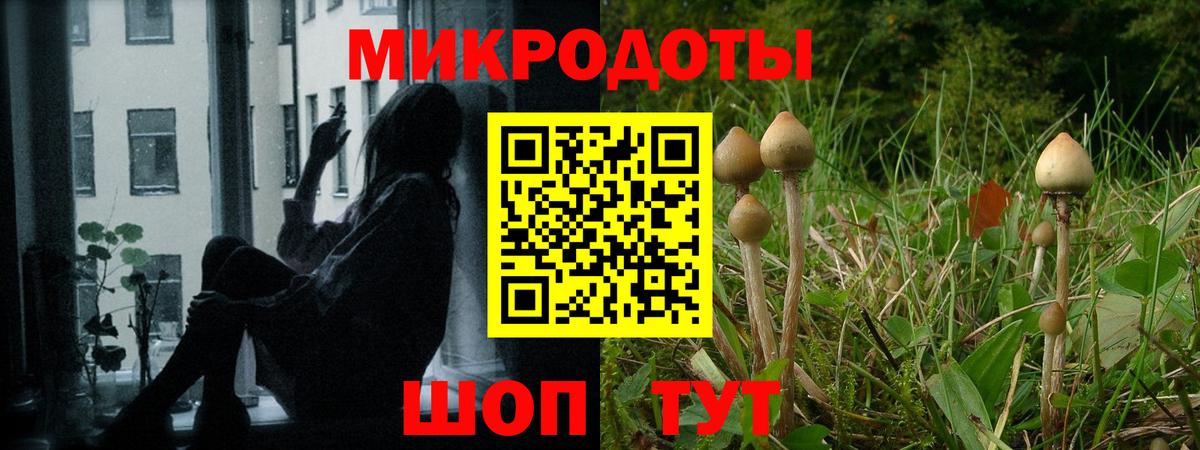 Псилоцибиновые грибы мухоморы Тавда